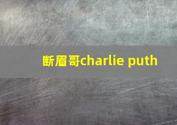 断眉哥charlie puth